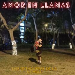 AMOR EN LLAMAS