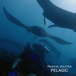 Pelagic