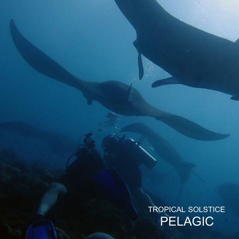 Pelagic