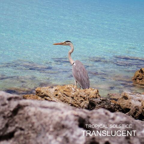 Translucent