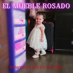 EL MUEBLE ROSADO