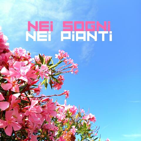 Nei sogni nei pianti