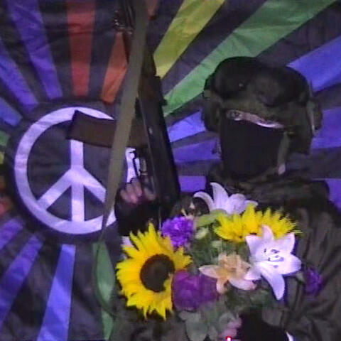 One Hell of a Paradise