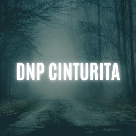 Cinturita (feat. La Rana En El Beat)
