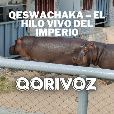 Qeswachaka – El Hilo Vivo del Imperio