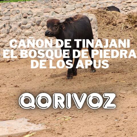 Cañon de Tinajani – El Bosque de Piedra de los Apus