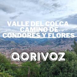 Valle del Colca – Camino de Condores y Flores