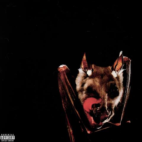buckshot