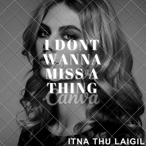 I DONT WANNA MISS A THING