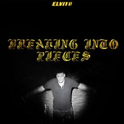 BREAKING INTO PIECES