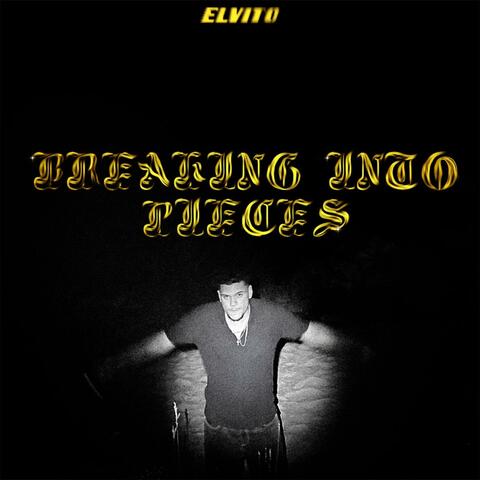 BREAKING INTO PIECES