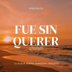 FUE SIN QUERER