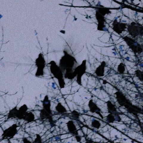 Worry About Yourself