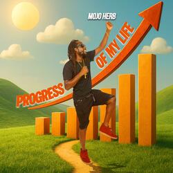 PROGRESS OF MY LIFE
