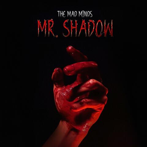 Mr. Shadow
