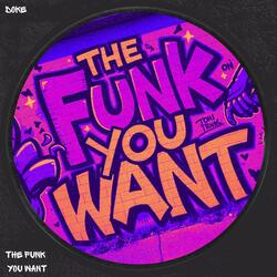 The Funk You Want (Radio Edit)
