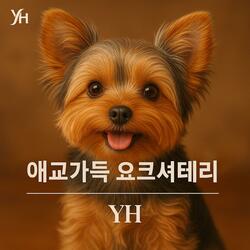 애교가득 요크셔테리어