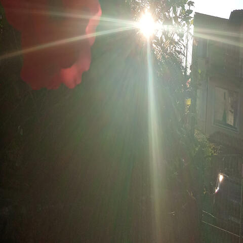 Piccola stella (Live)