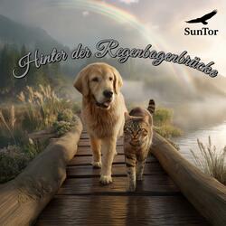 Hinter der Regenbogenbrücke