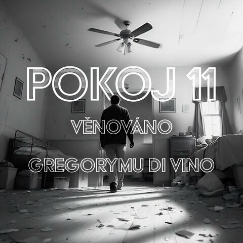 Pokoj 11