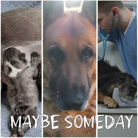 Maybe Someday