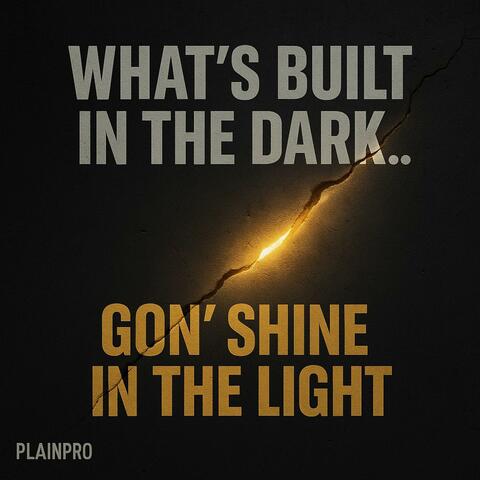 Shine In The Light