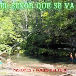 EL SEÑOR QUE SE VA