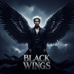 Black Wings (검은날개)