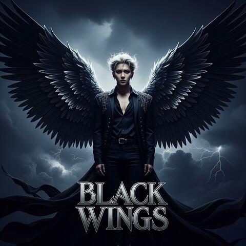 Black Wings (검은날개)