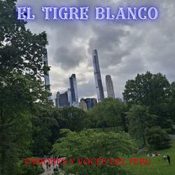 EL TIGRE BLANCO