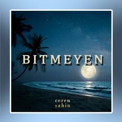 Bitmeyen