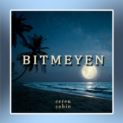 Bitmeyen