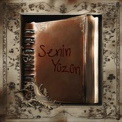 Senin Yüzün