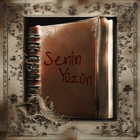 Senin Yüzün