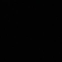 stop pretending (feat. Lil RickyOY)