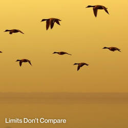 Limits Don't Compare