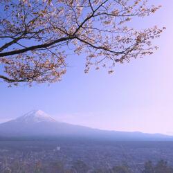 Mount Fuji (Rework) (Extended)