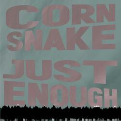 Just Enough
