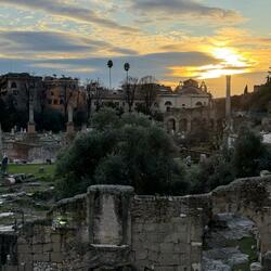 ...As The Weeds Grow