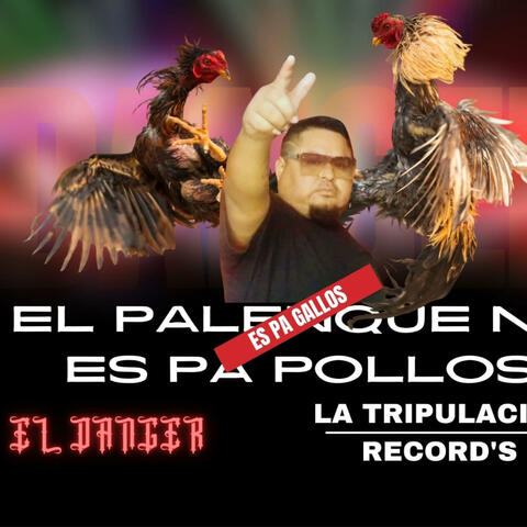 El palenque no es pa pollos es pa gallos