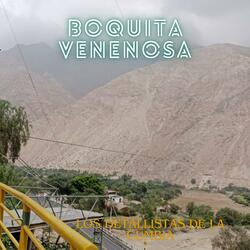 BOQUITA VENENOSA