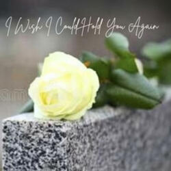 I Wish I Could Hold You Again