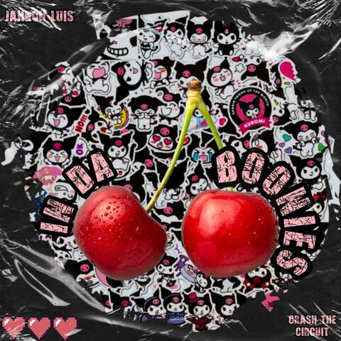 IN DA BOONIES (feat. CRASH THE CIRCUIT)