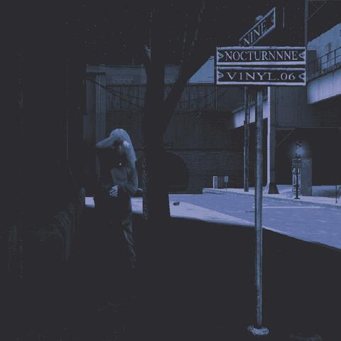 NINE (feat. v1nyl.06)