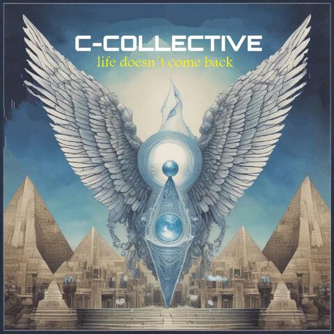 life doesn´t come back