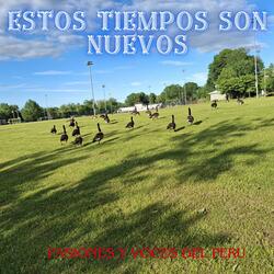 ESTOS TIEMPOS SON NUEVOS