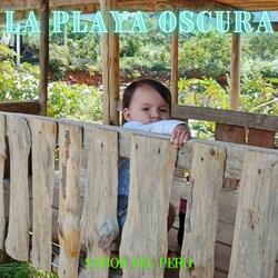 LA PLAYA OSCURA