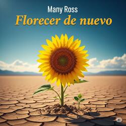 Florecer de Nuevo - Bachata Romántica 2025 | Many Ross- stilo romeo