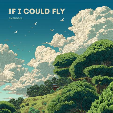 If I Could Fly