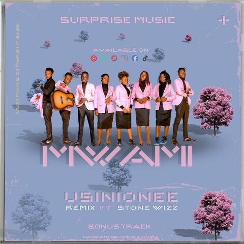 Surprise Music USINIONEE KISA nimeokoka (feat. Stone wizz)